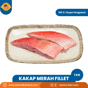 Ikan Kakap