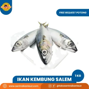 Kembung Salem