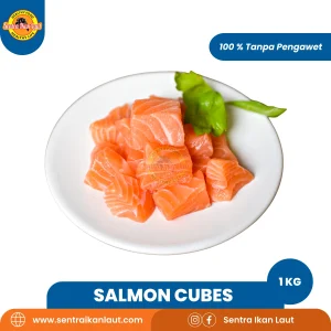 Salmon Cube