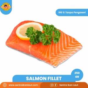 Salmon Fillet