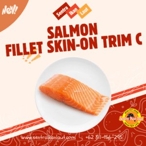 Salmon Fillet Skin-On Trim C